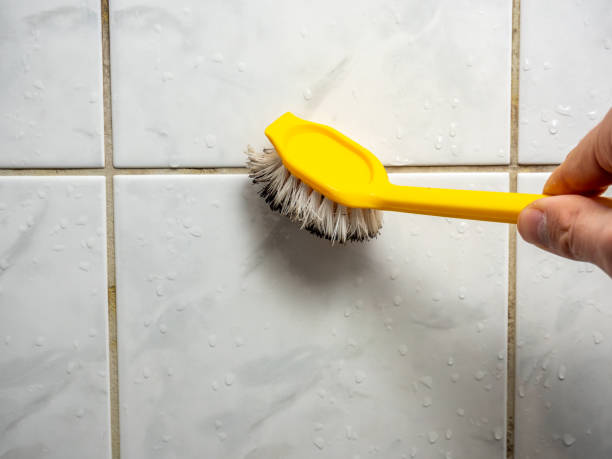 Best Professional Mold Removal  in Allyn, WA