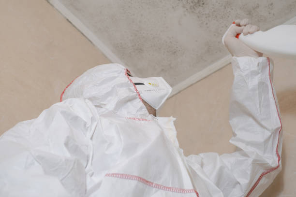 Allyn, WA Mold Removal Company